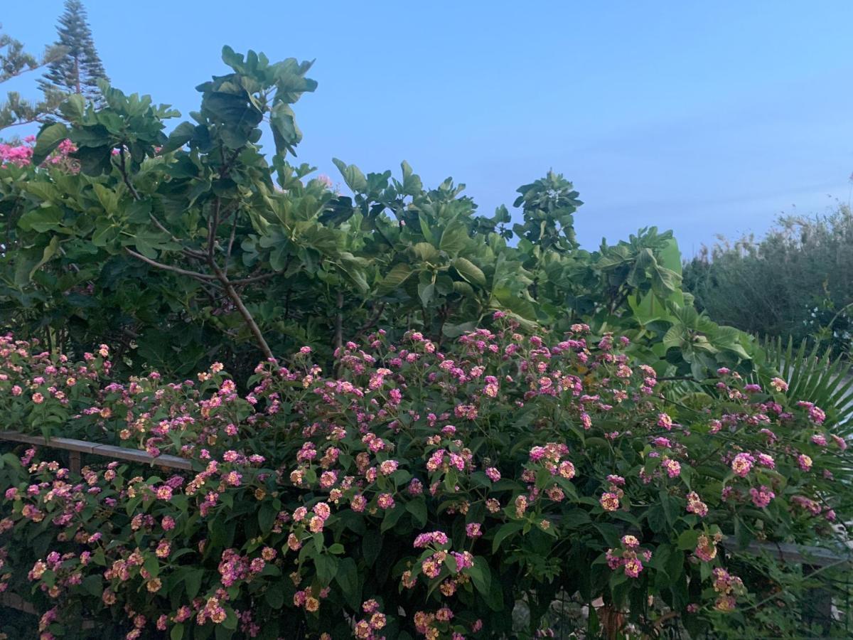 Villa Morgana 门菲 外观 照片